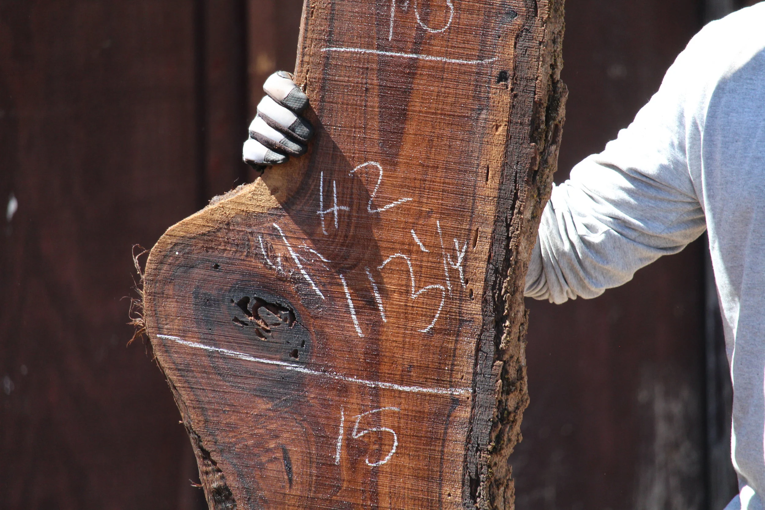 Walnut Slab H2 - Image 2