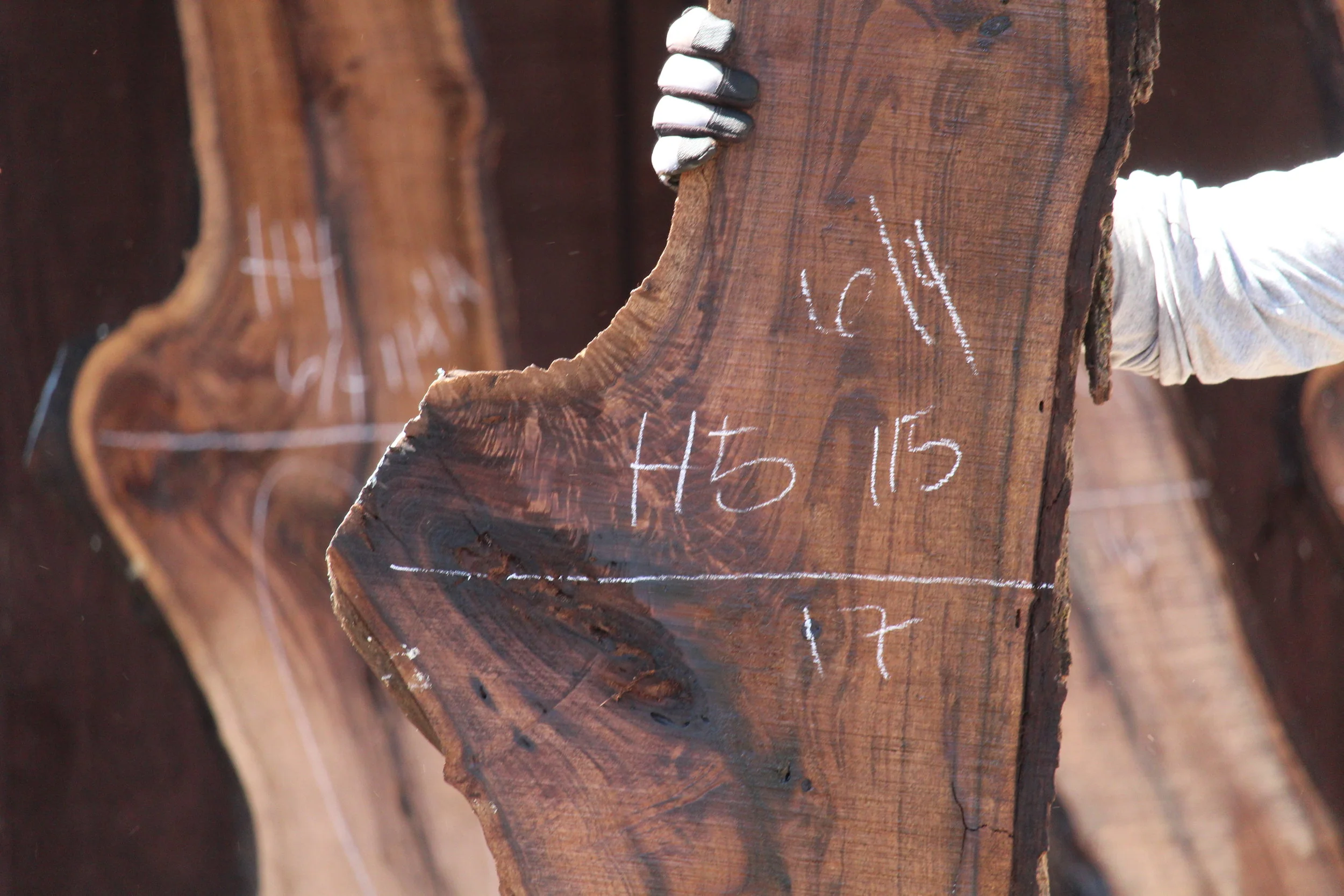 Walnut Slab H5 - Image 2