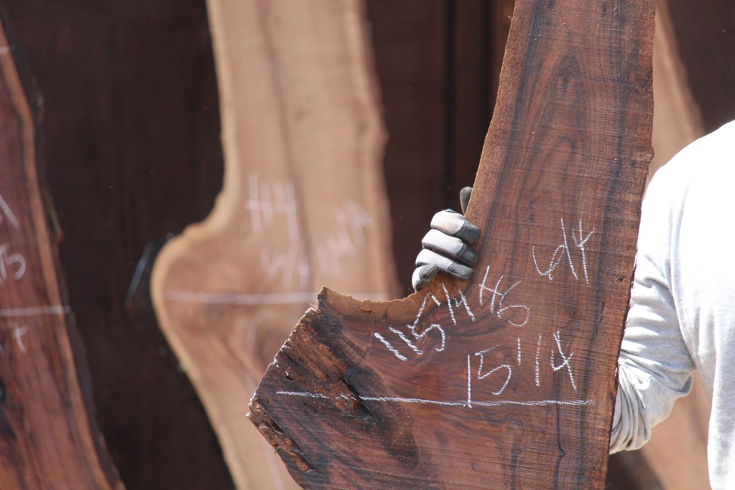 Walnut Slab H6 - Image 2