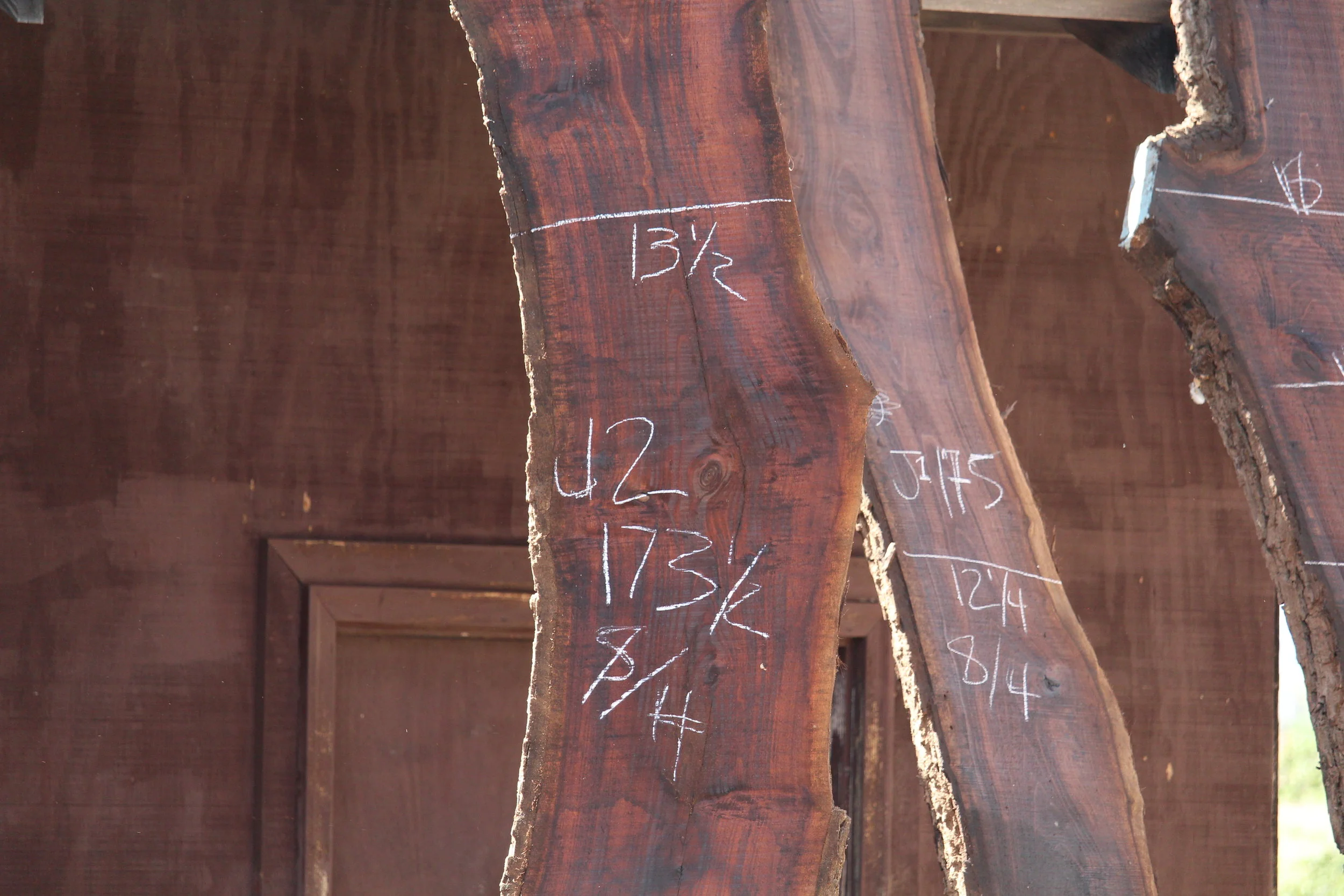 Walnut Slab J2 - Image 2