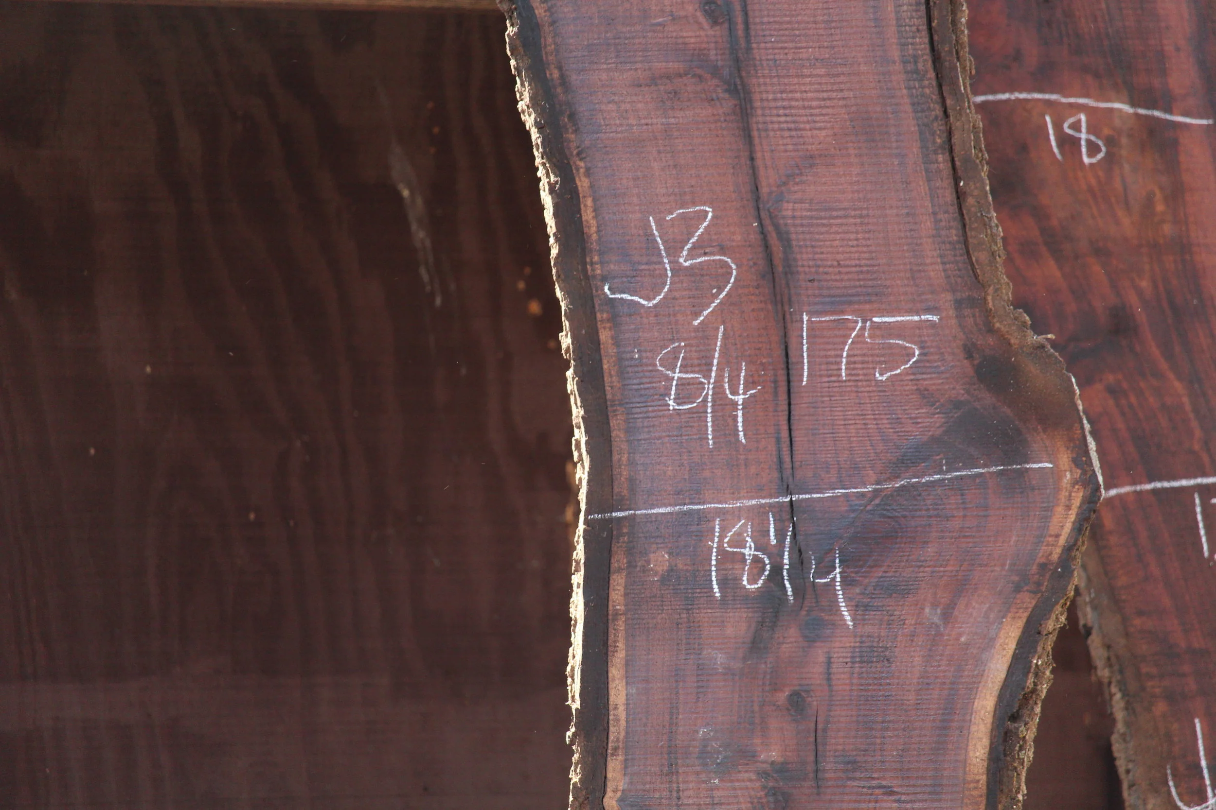 Walnut Slab J3 - Image 2