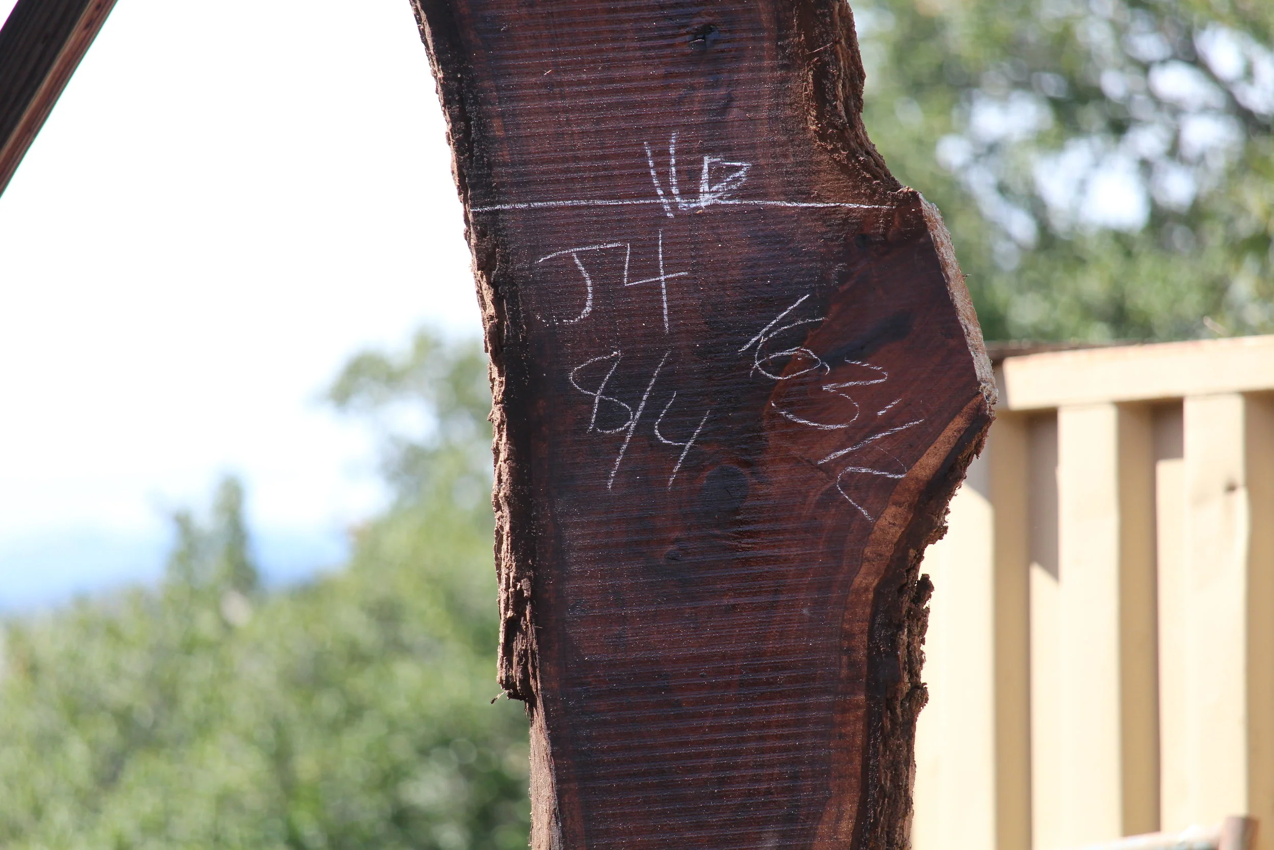 Walnut Slab J4 - Image 2
