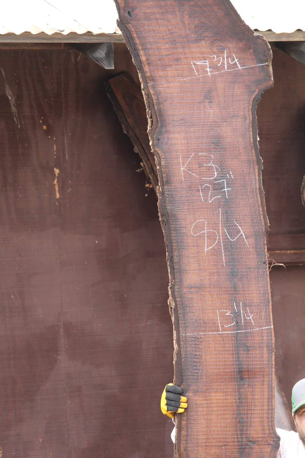 Walnut Slab K3 - Image 2