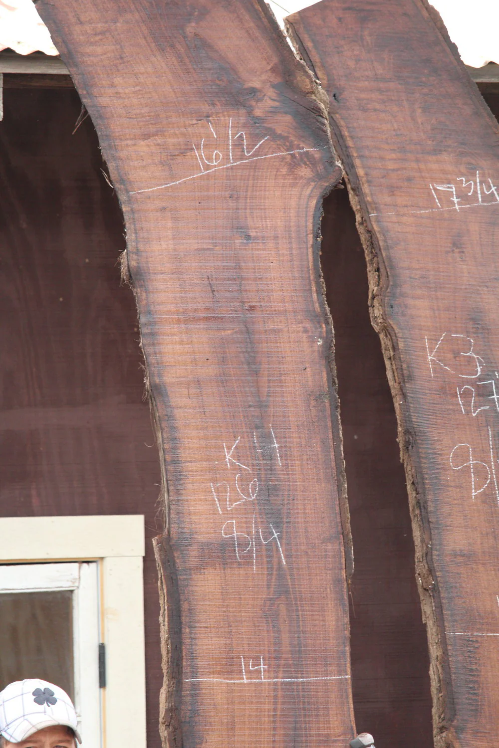 Walnut Slab K4 - Image 2